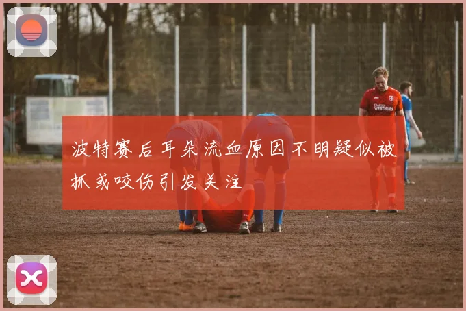 波特赛后耳朵流血原因不明疑似被抓或咬伤引发关注